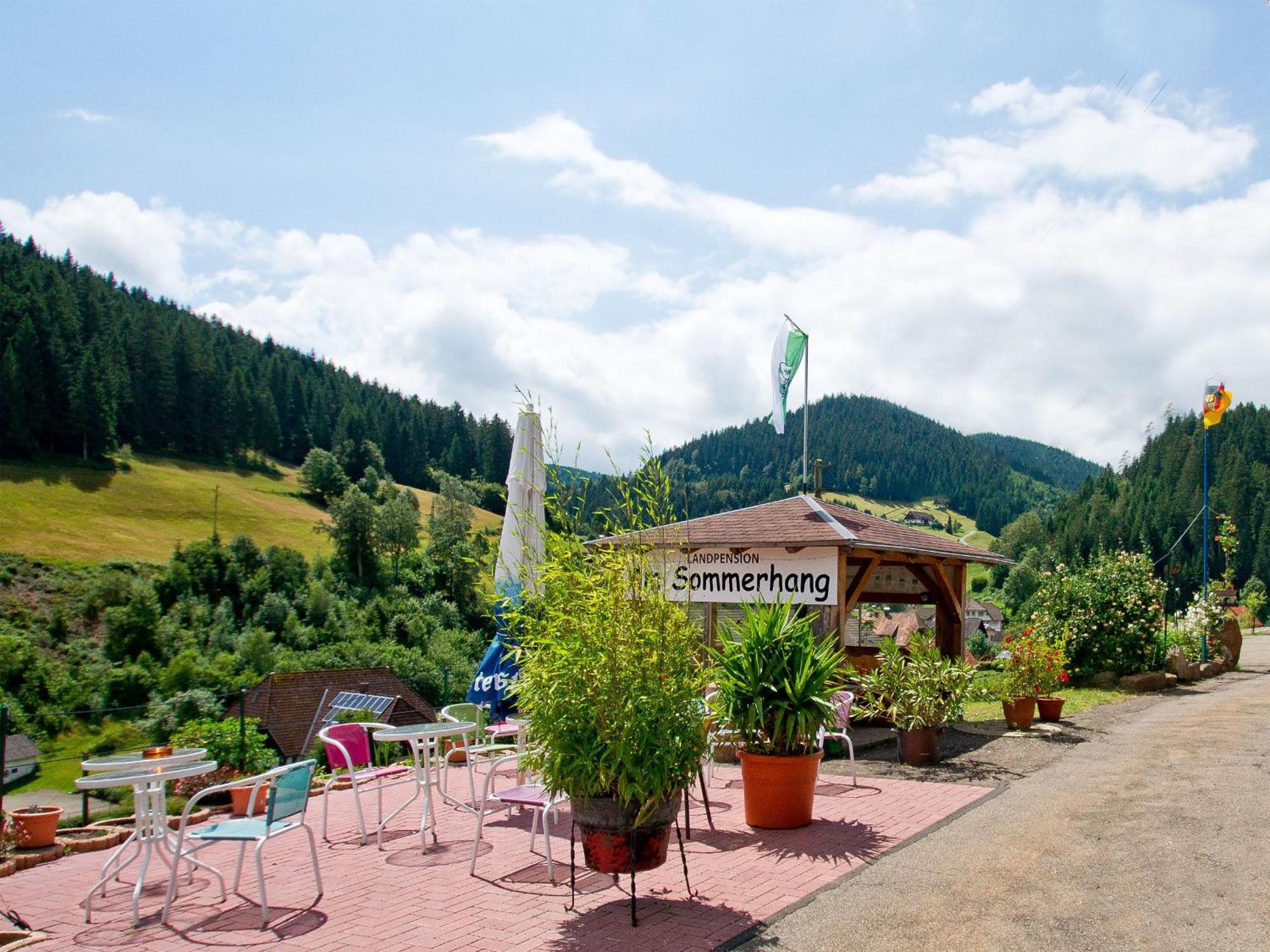 Landpension Am Sommerhang Bad Rippoldsau-Schapbach Esterno foto