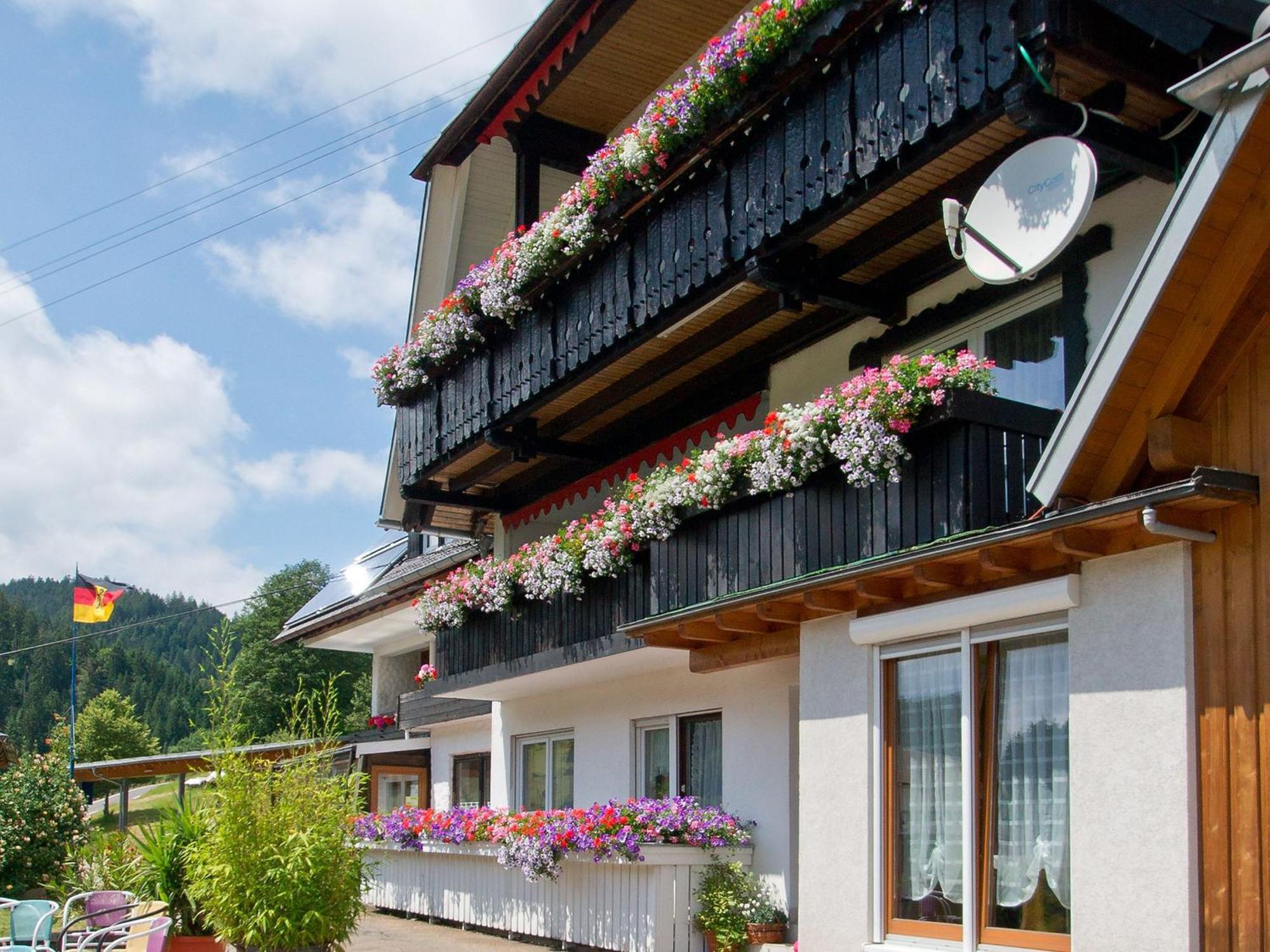 Landpension Am Sommerhang Bad Rippoldsau-Schapbach Esterno foto