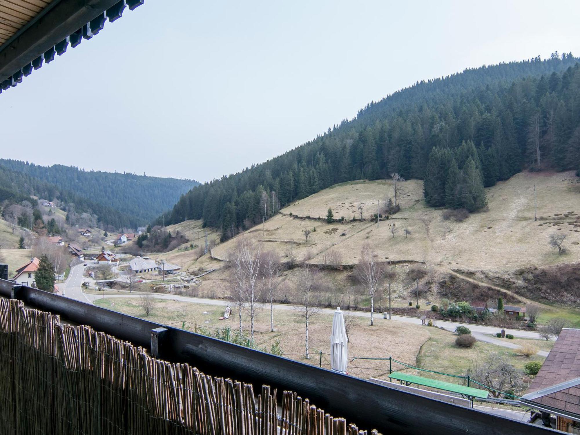 Landpension Am Sommerhang Bad Rippoldsau-Schapbach Esterno foto