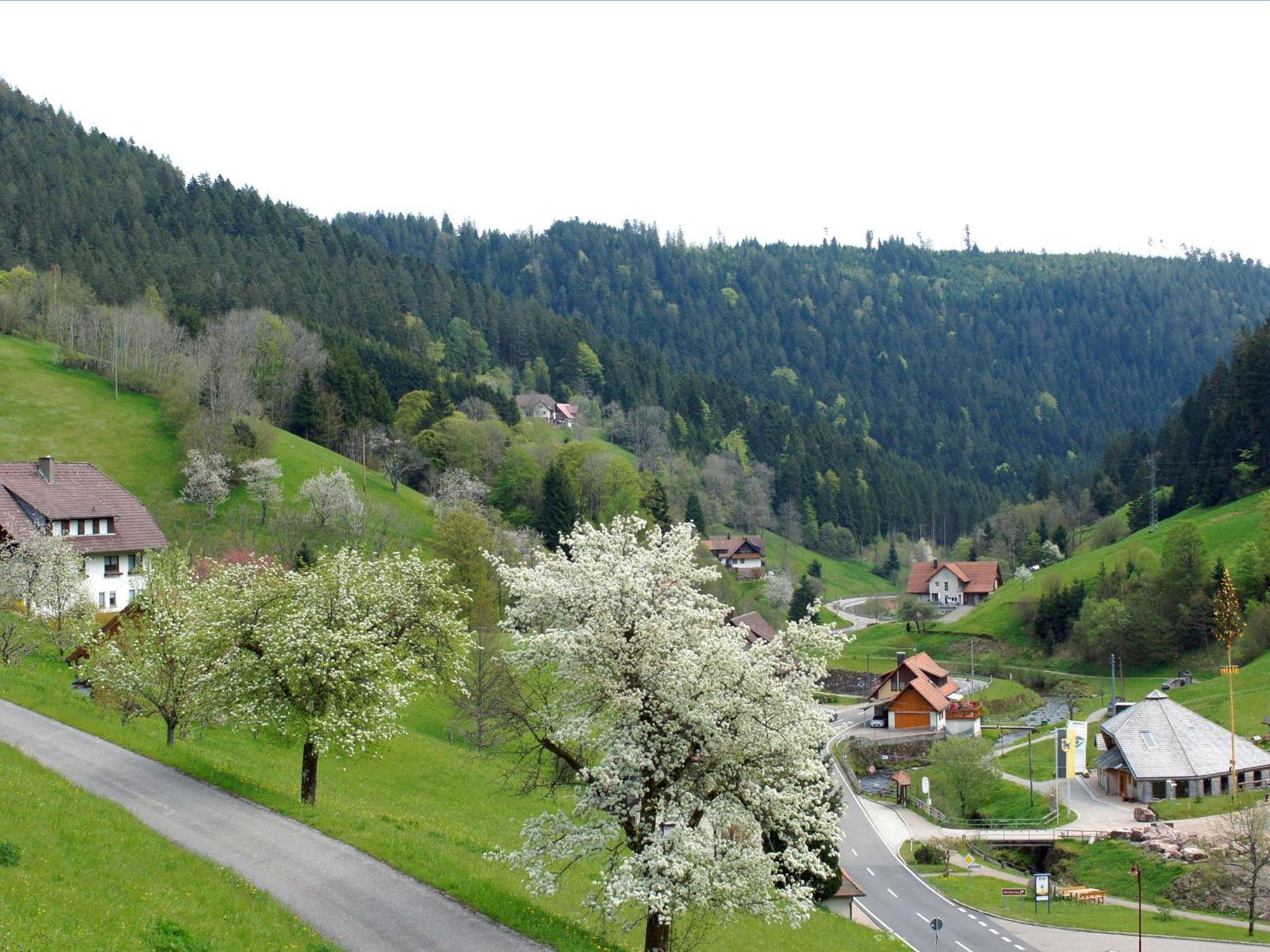 Landpension Am Sommerhang Bad Rippoldsau-Schapbach Esterno foto